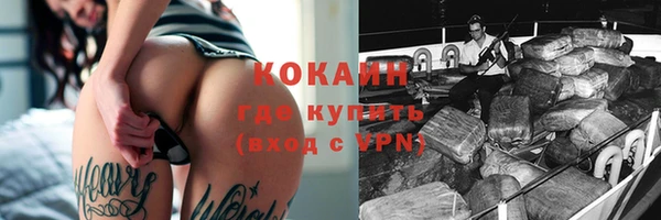 шишки Беломорск
