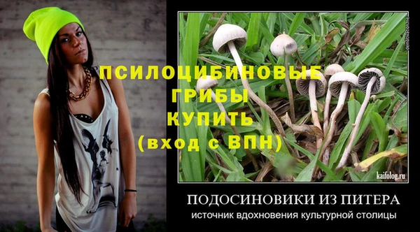 гидропоника Белоозёрский