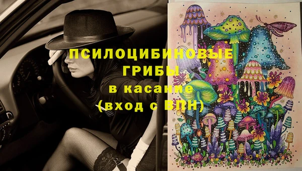 гидропоника Белоозёрский