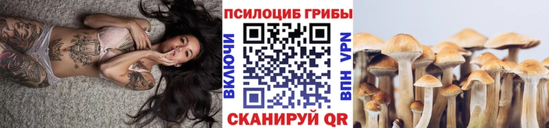 Галлюциногенные грибы Magic Shrooms Нерчинск